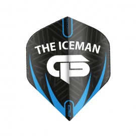 Hardcore Gerwyn Price dart flights 6475