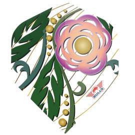 Flora Camil NO2 dart flights